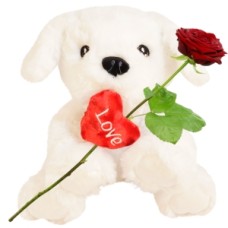 White cuddly toy dog approx. 40cm + red heart (+ fresh red rose + Prosseco brut)